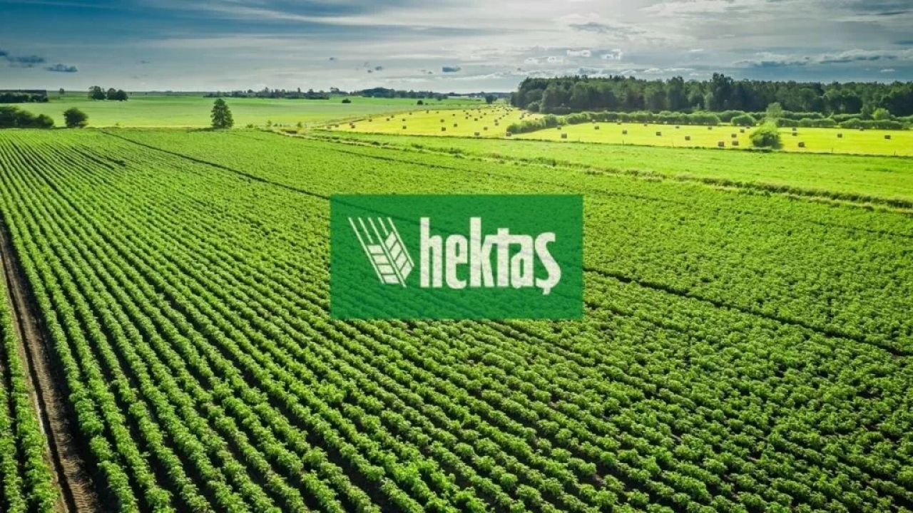 Hektaş (HEKTS) Hisselerinde 34 Ay Sonra Bir İlk!